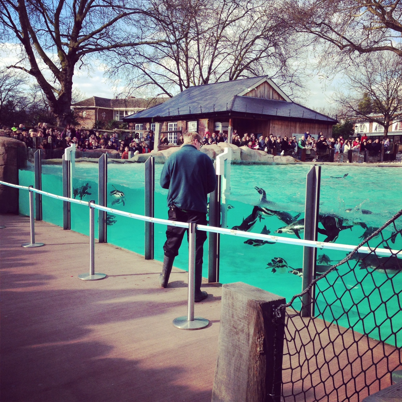 ZSL London Zoo ChelseaMamma