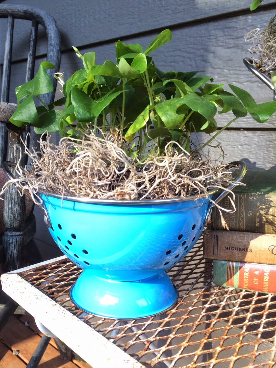 Little Farmstead Colanders and Clovers {Farmhouse Porch Style}