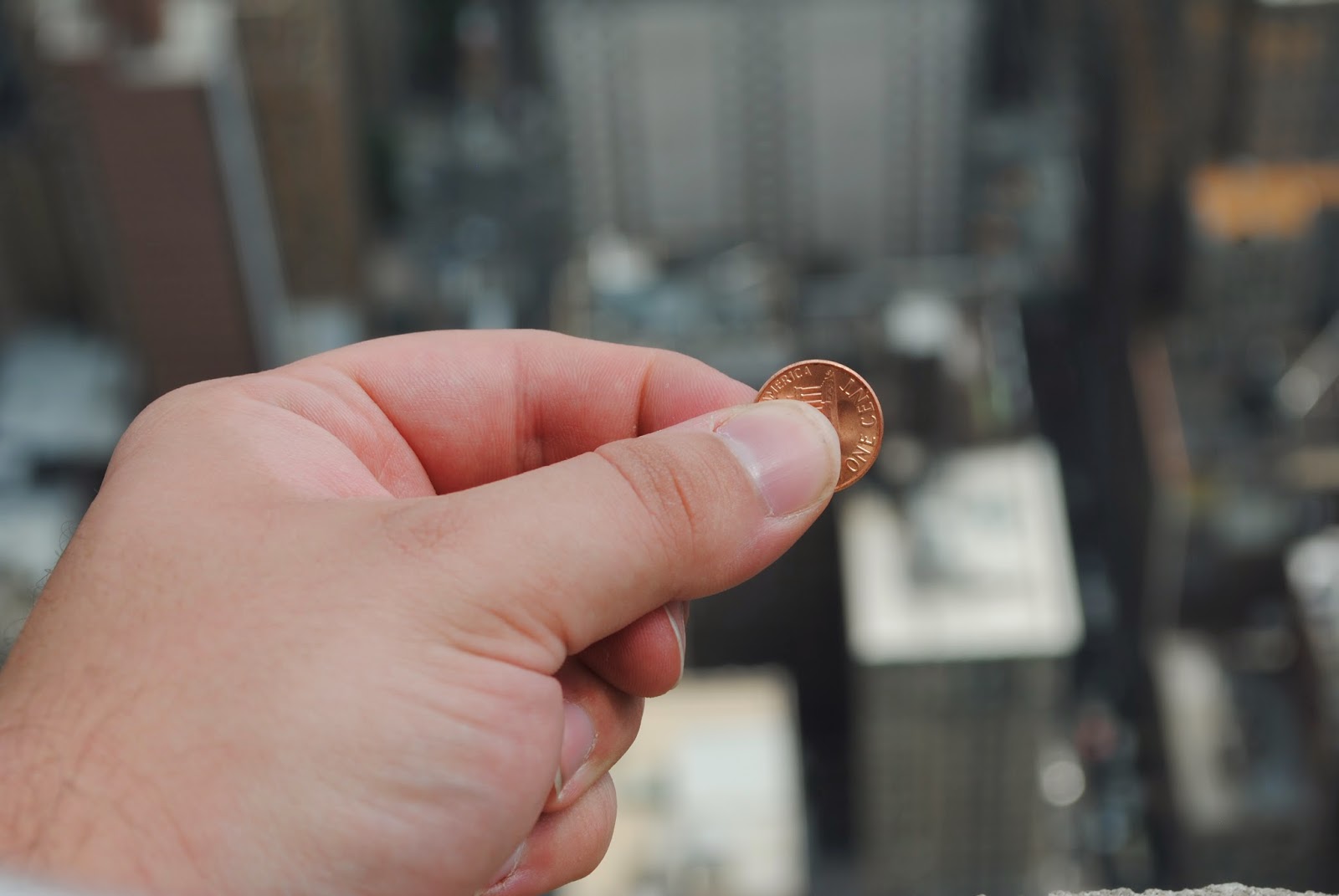 The Carpetbagger A Carpetbagger in New York