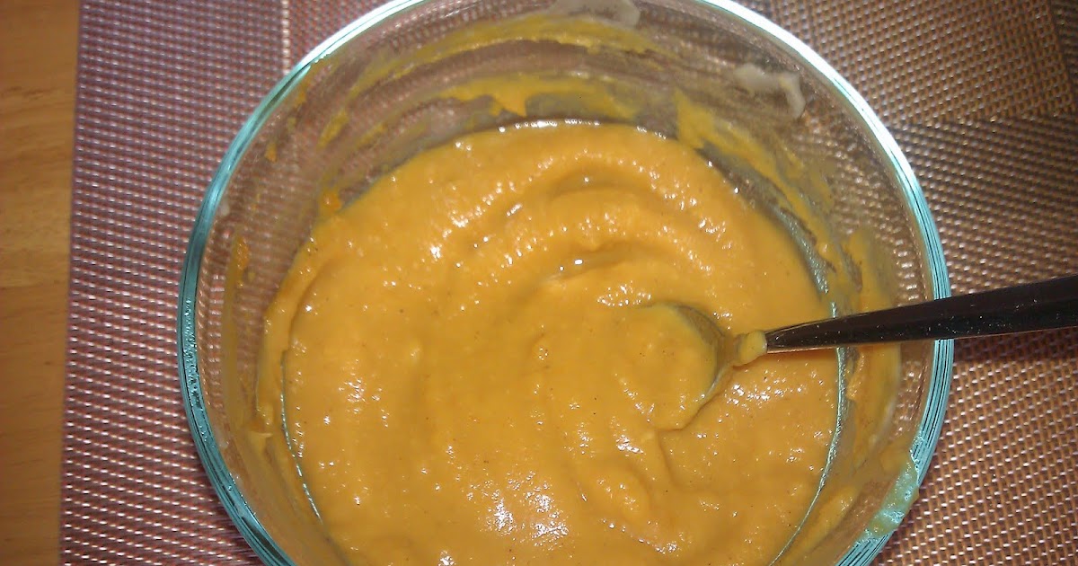 Mommy and Baby food Garbanzo Bean and Pumpkin Puree
