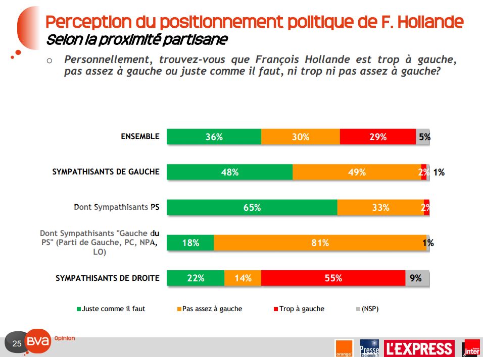 Camping Car En Famille Hollande Champs De Fleur