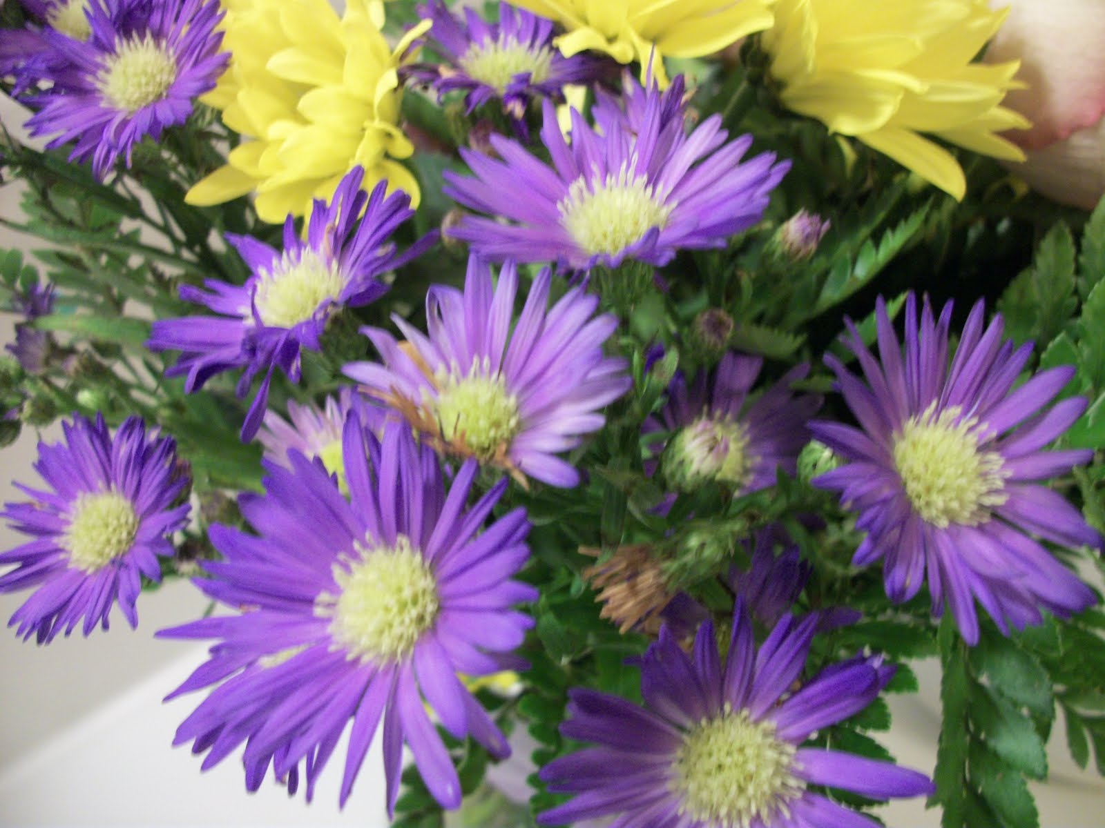 Writing Straight from the Heart Flowers Are Food for the Soul