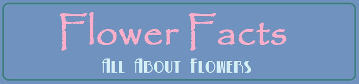 Flower Facts - All About Flowers!