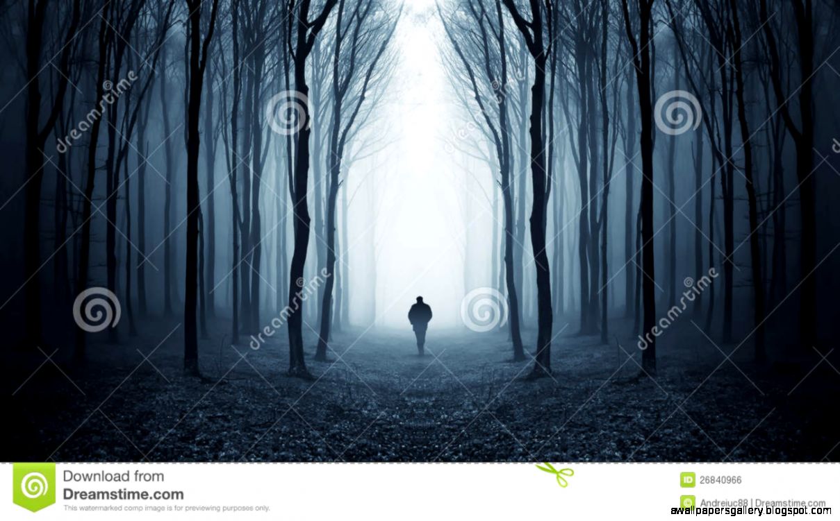 Man Walking In A Fairytalke Dark Forest With Fog Royalty Free Man Walking In A Fairytalke Dark Forest With Fog Royalty Free