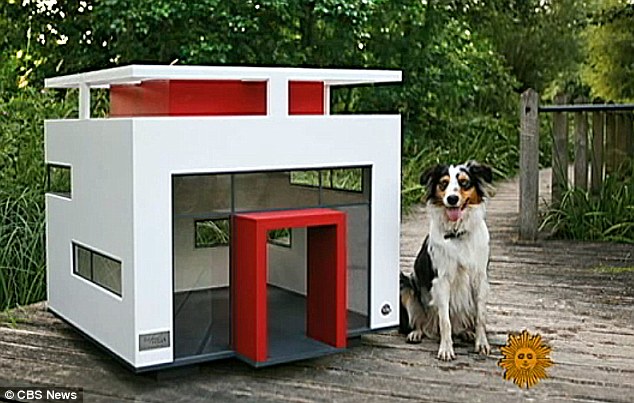 The animal zone: In the doghouse: Pooch owners treat pets to modern