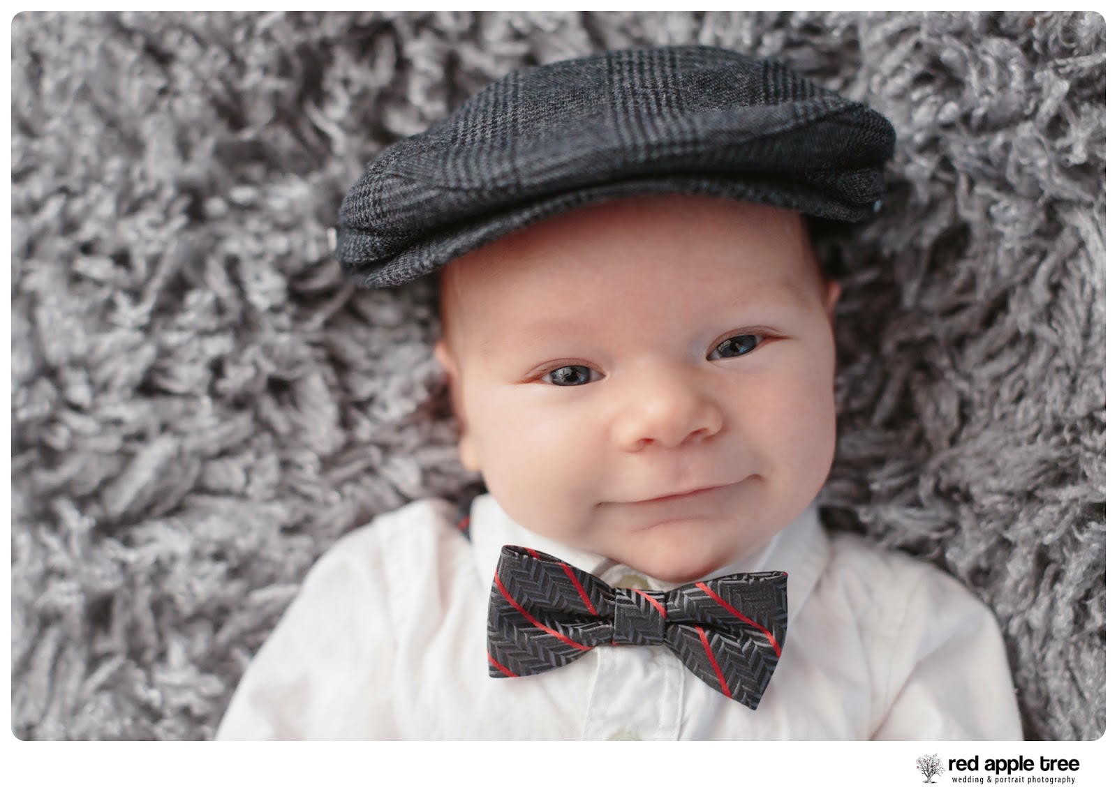 red apple tree photography 2014! {baby} news + awards