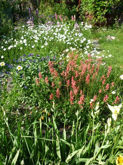 Pretty Peculiarities: July 2011