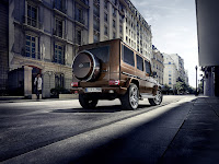 2016-Mercedes-G-Class-FL-5.jpg