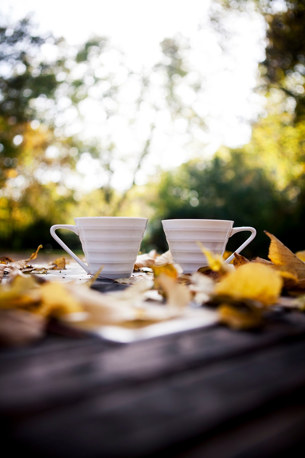 vartotojo įkelta nuotrauka