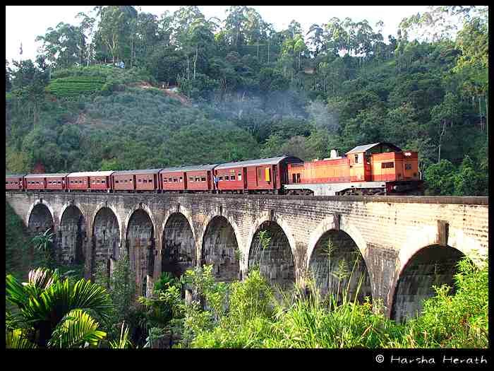 Trails and Strings X’mas in Bandarawela