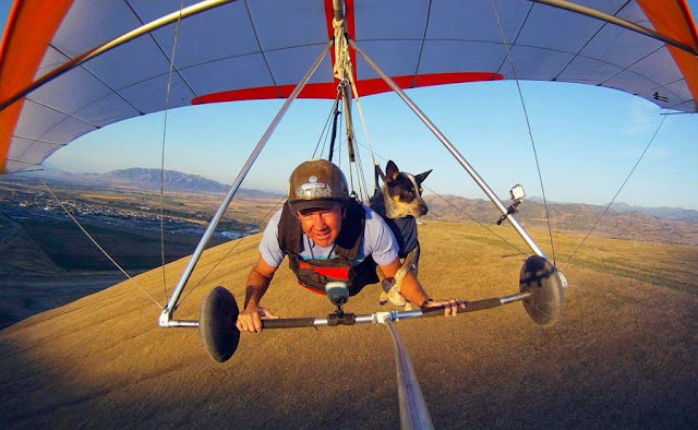 El perro volador que curó a su dueño la ansiedad