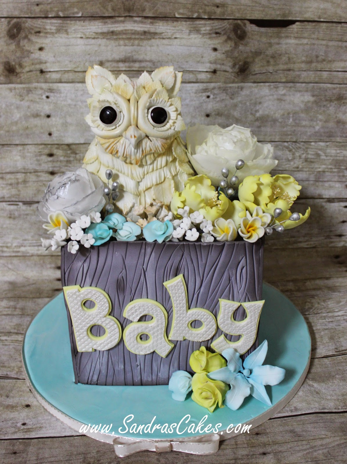 Most adorable Owl themed Baby Shower Cake