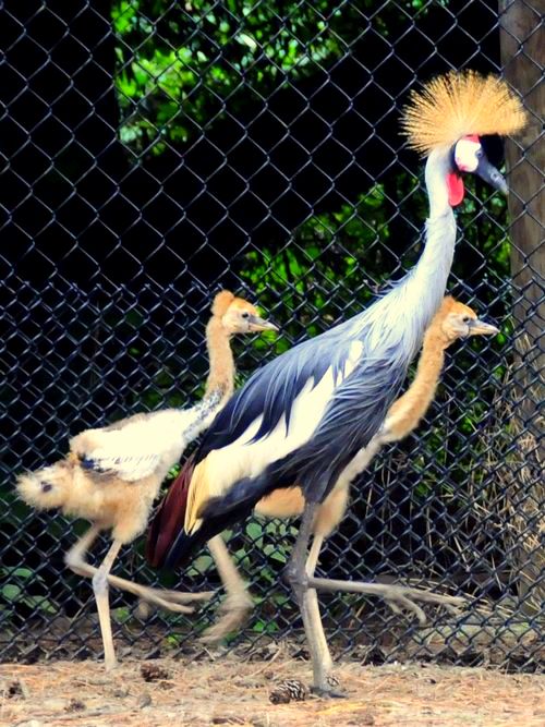 Antalya Zoo and Nature Park ANTALYA CITY BLOG