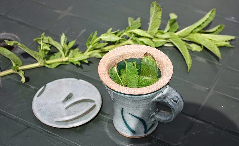a mug of fresh mint tea 