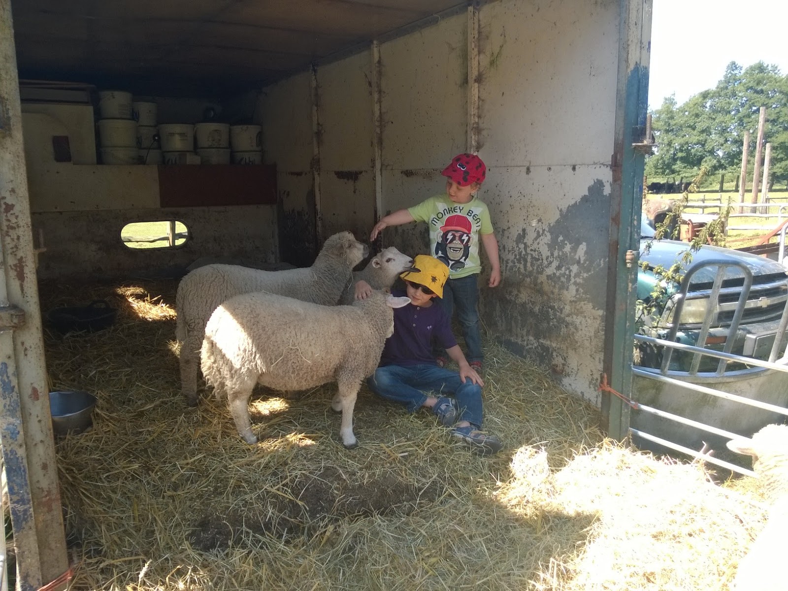 The Maz Shack (2) Hugletts Wood Farm Animal Sanctuary
