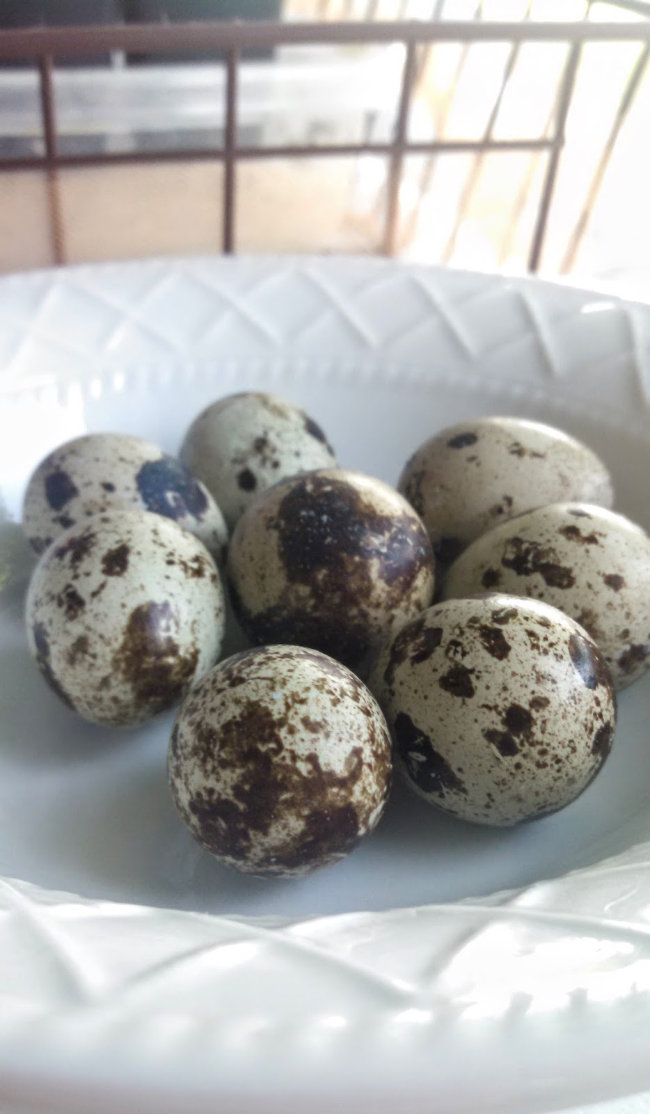 The Percolator Quail Eggs Benedict