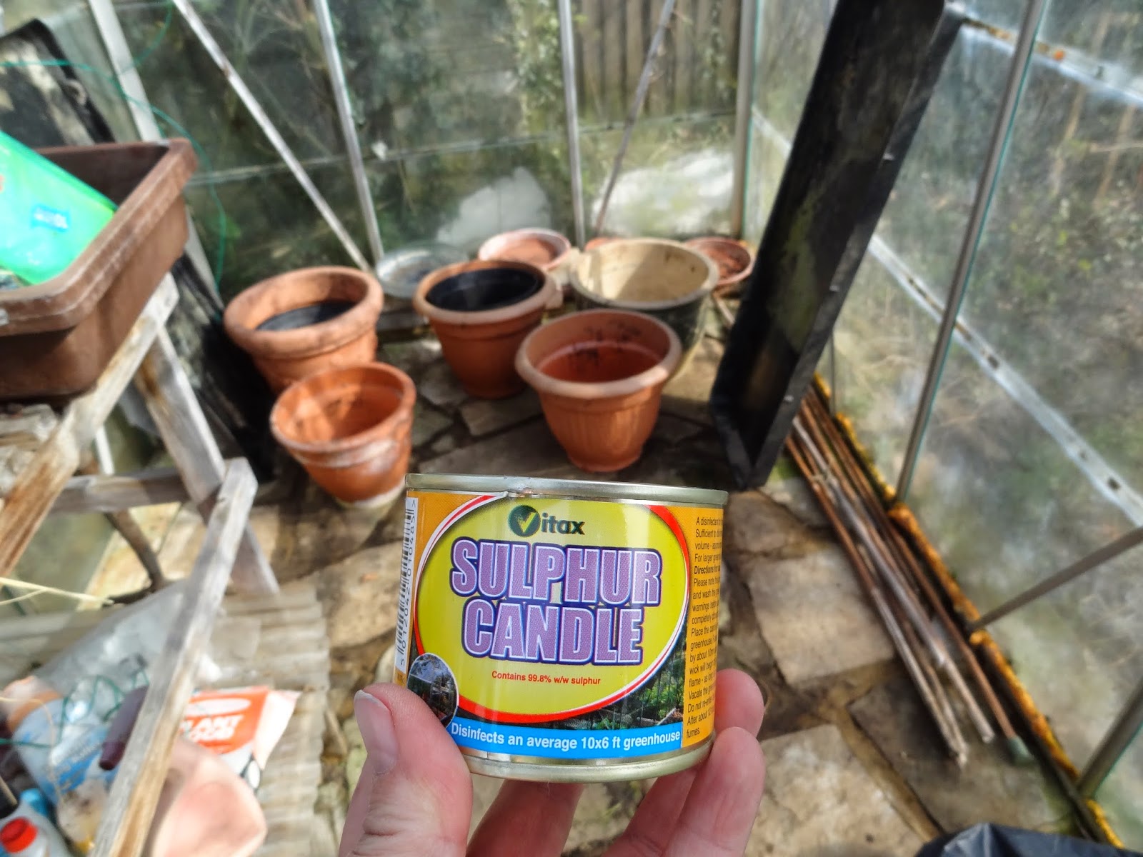 Down on the Allotment Greenhouse Cleaning