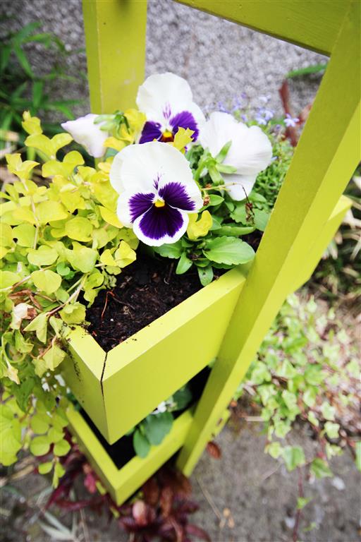 emuse 5 projects to brighten up your garden