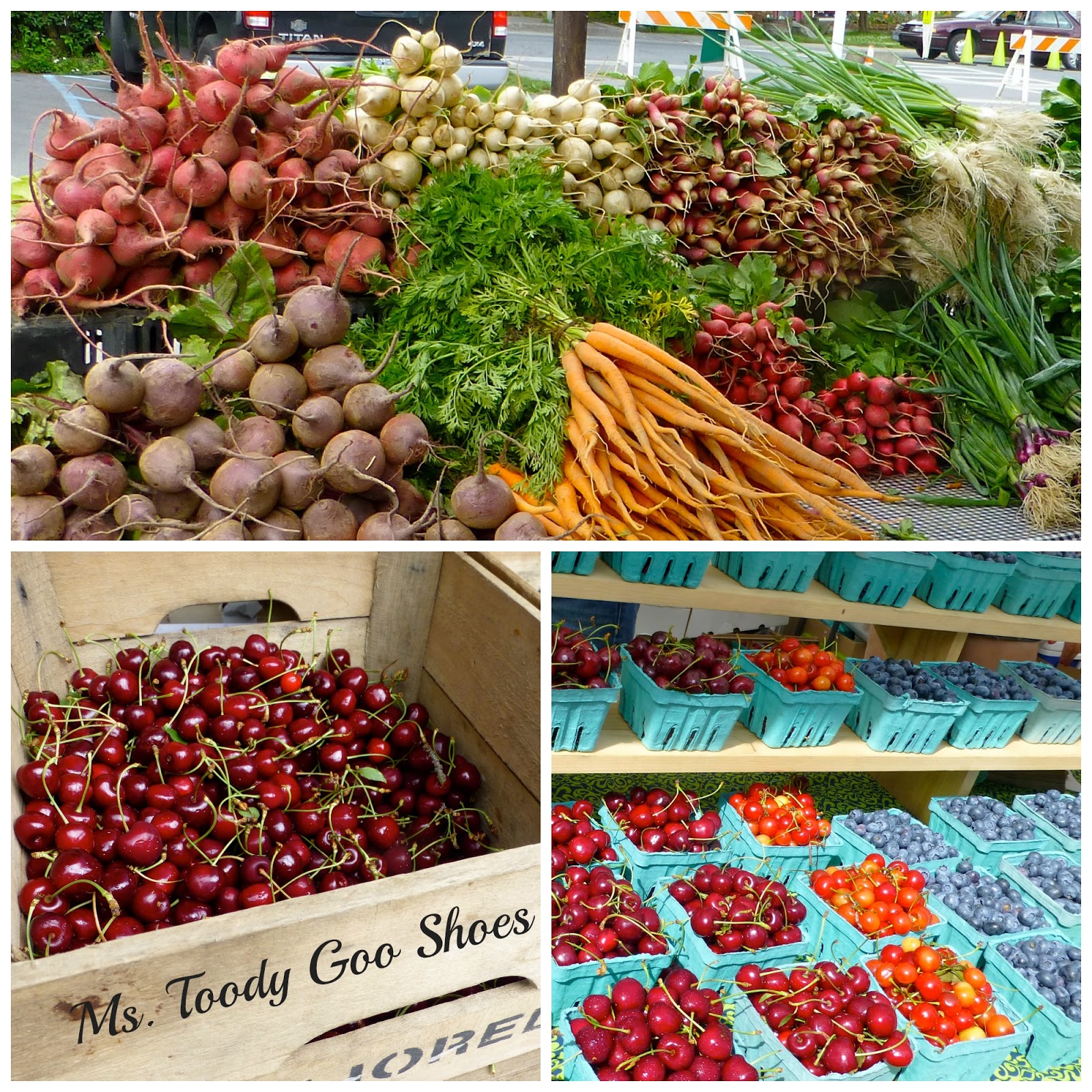 Ms. Toody Goo Shoes Woodstock, NY and The Catskill Mountains A Tour
