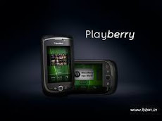 BlackBerry Style 9670