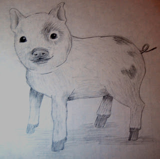 Drawing of a piglet