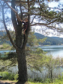 Abant Lake, Bolu, Turkey