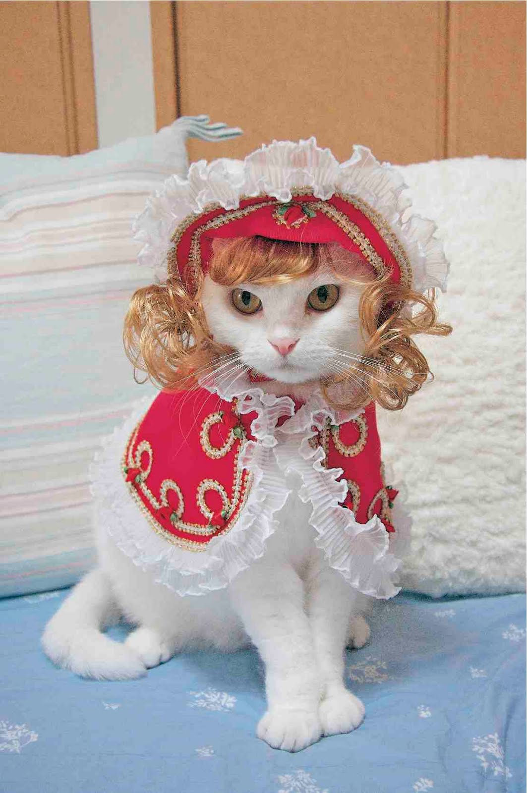 Catsparella VICE Presents Fashion Cats