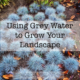 Using Grey Water to Grow Your Landscape :: OrganizingMadeFun.com