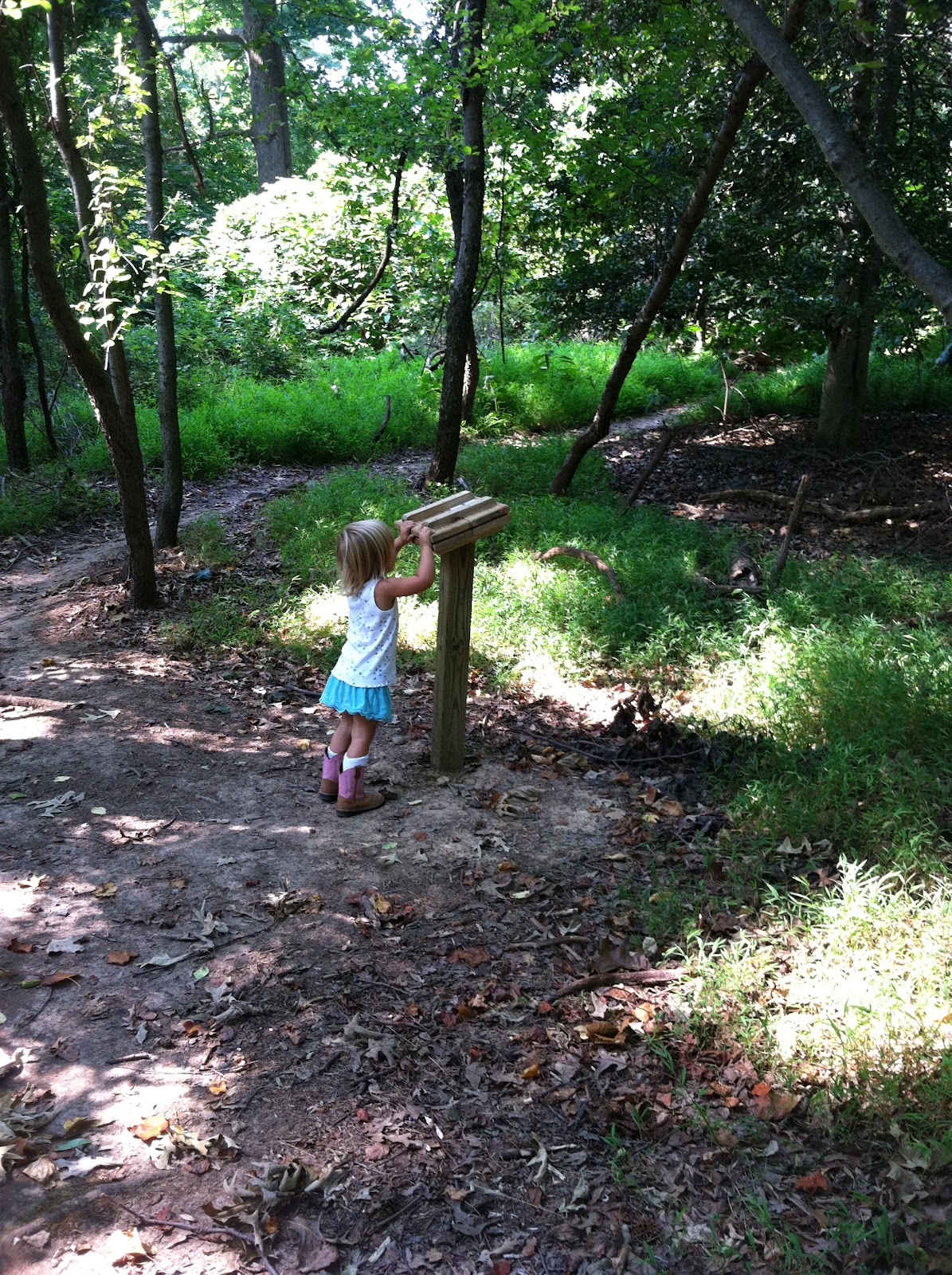 D A M N Gynr Our Family Hiking Biking Etc Blog Elk Neck