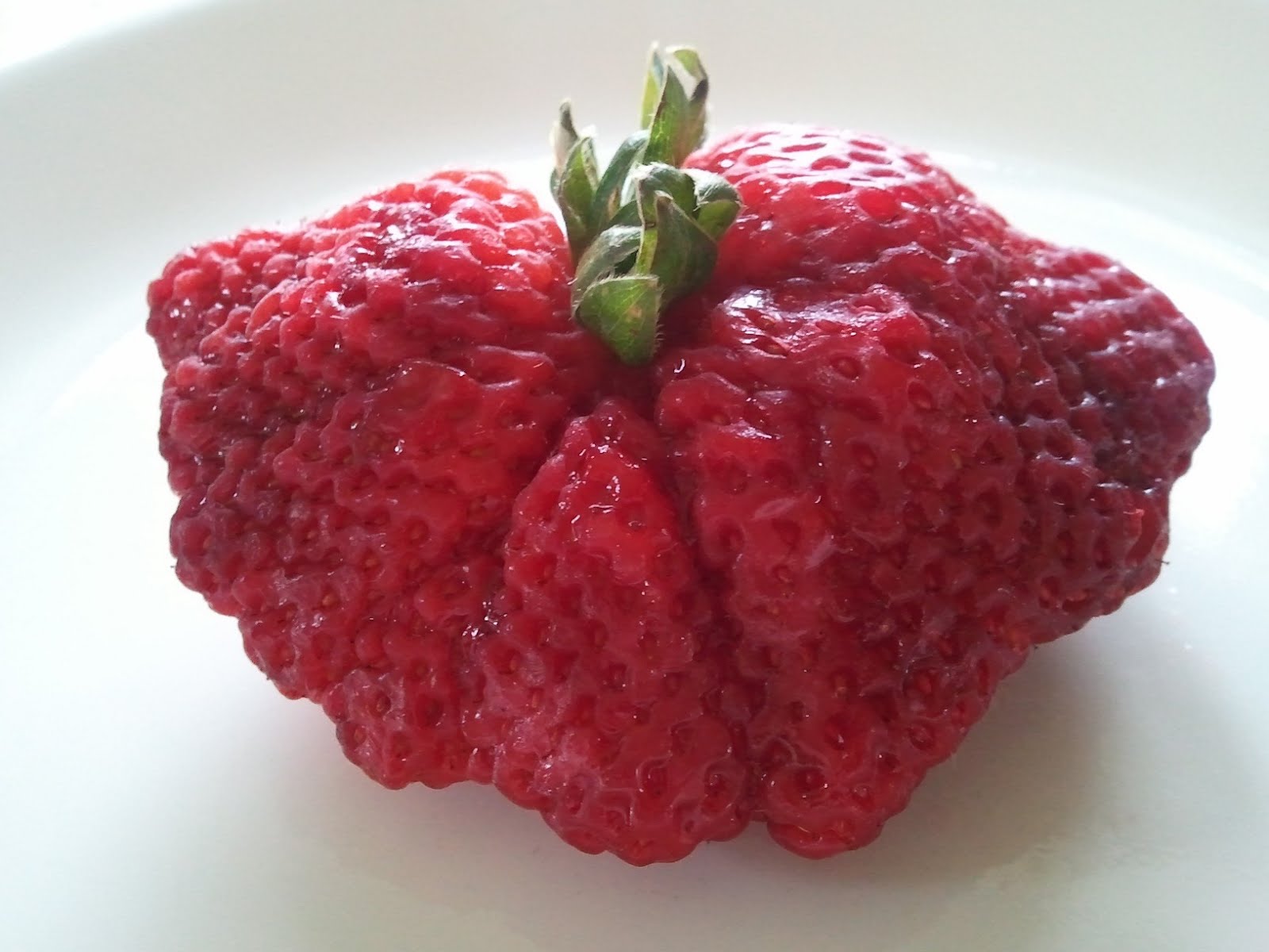 Provident Plenty German Pancake with Strawberries