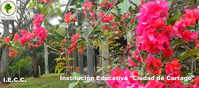 Institución Educativa "Ciudad de Cartago"