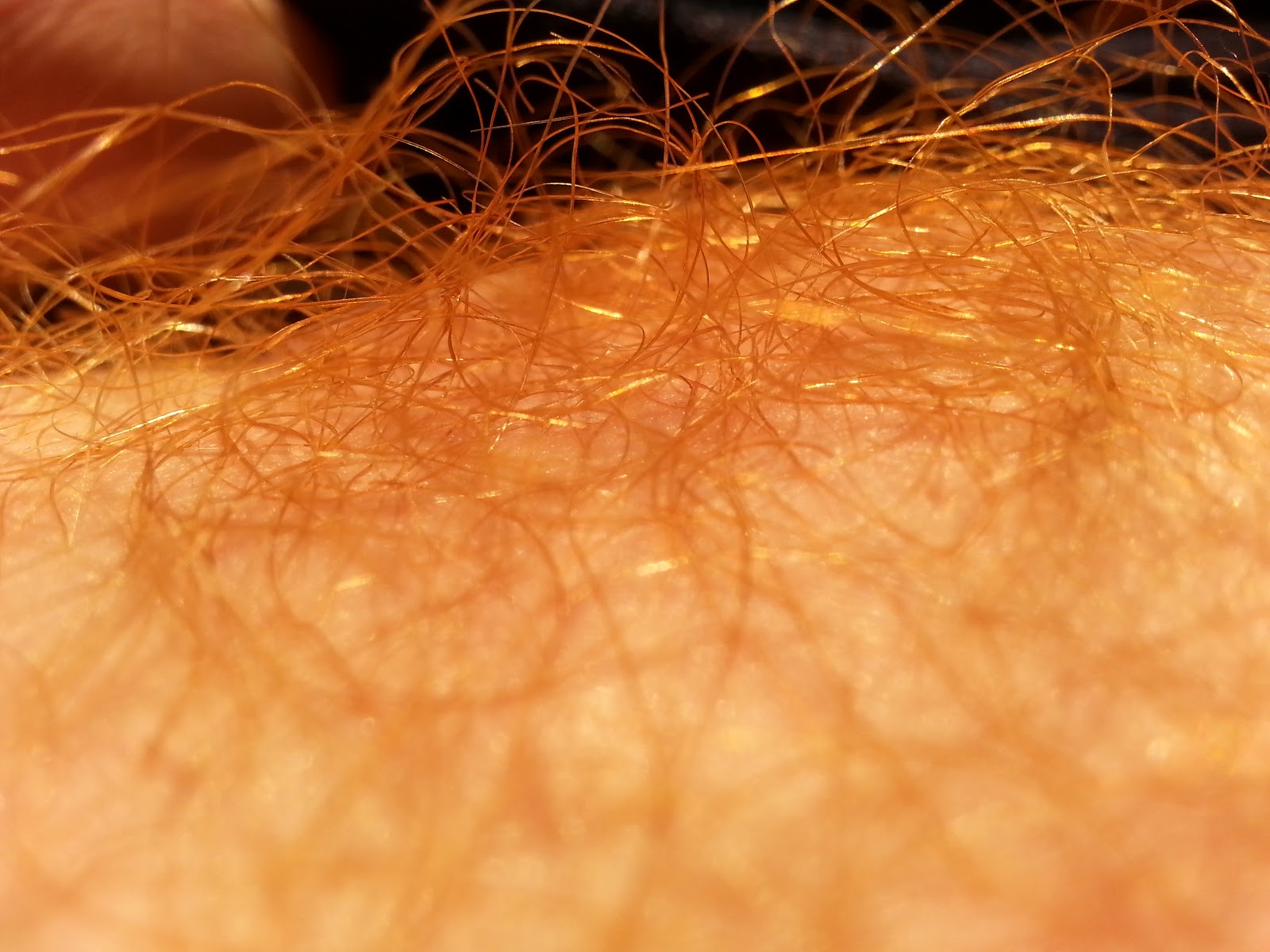 Have red gingers pubes do Do ginger