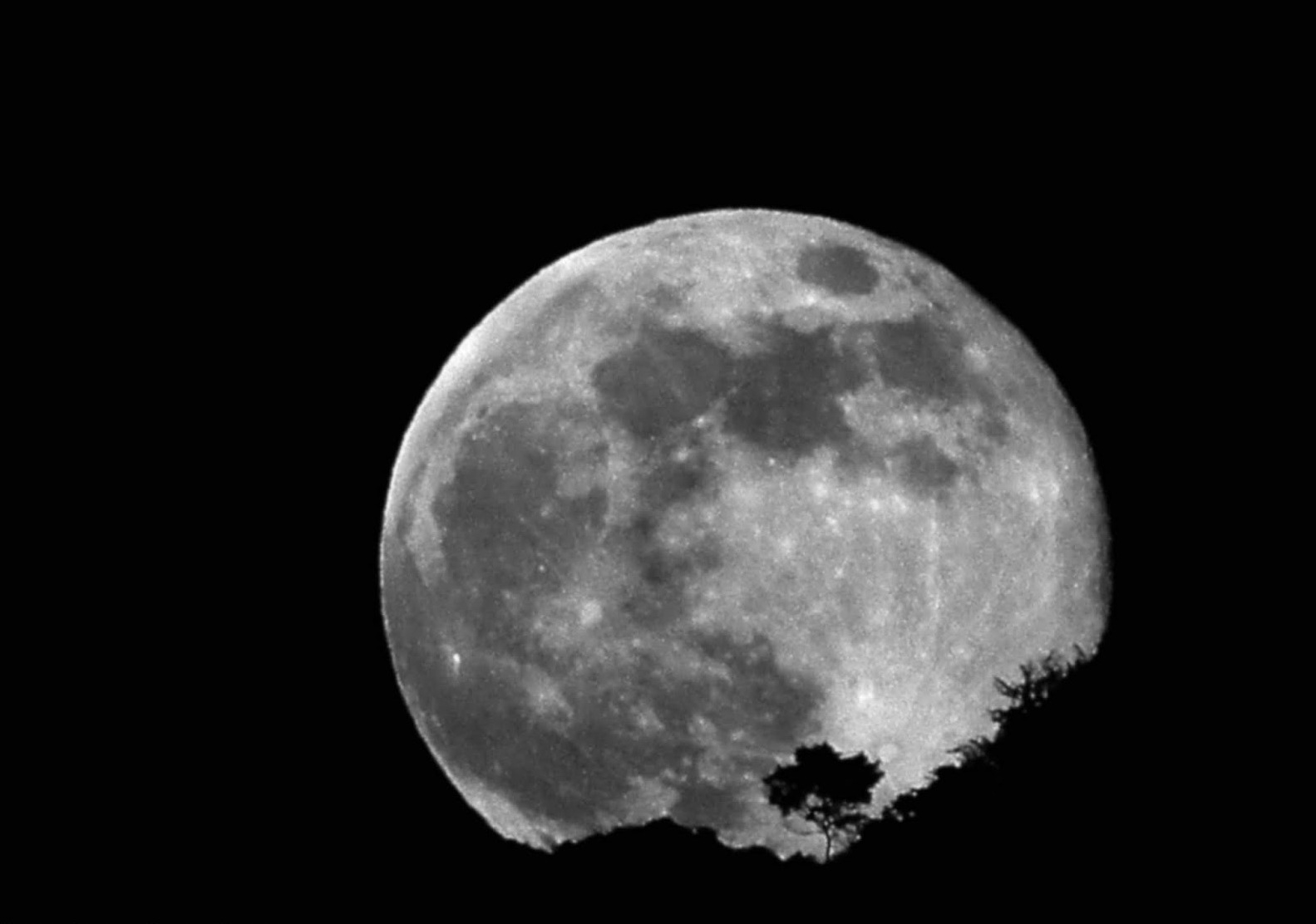 Galeria Permanente de Astrofotografias de la Luna