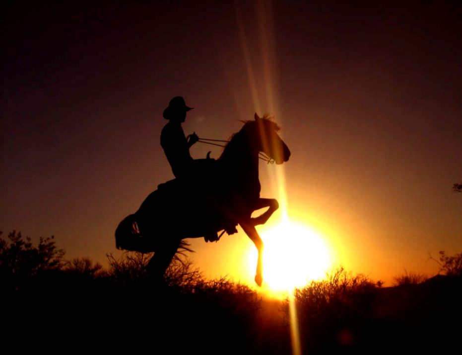 Free Cowboy Wallpapers   Wallpaper Cave Free Cowboy Wallpapers   Wallpaper Cave