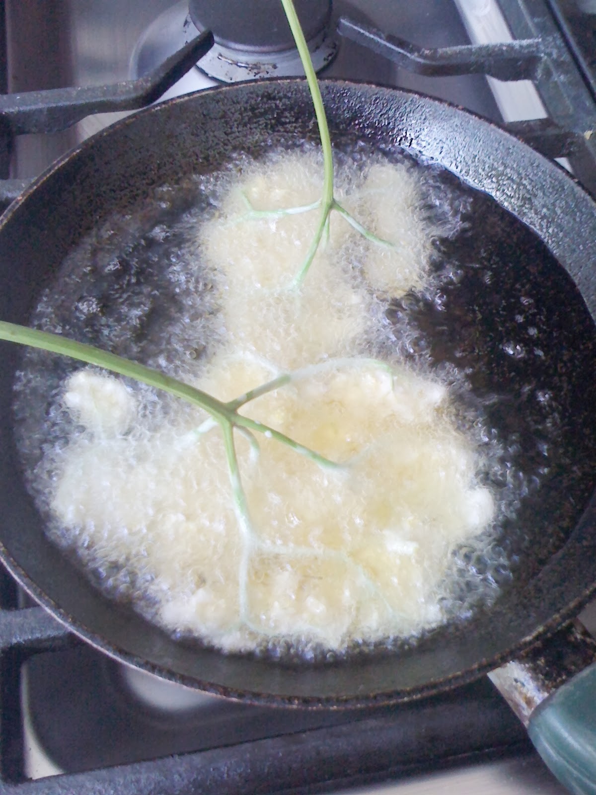 Alessandra Zecchini Elderberry Flower Fritters