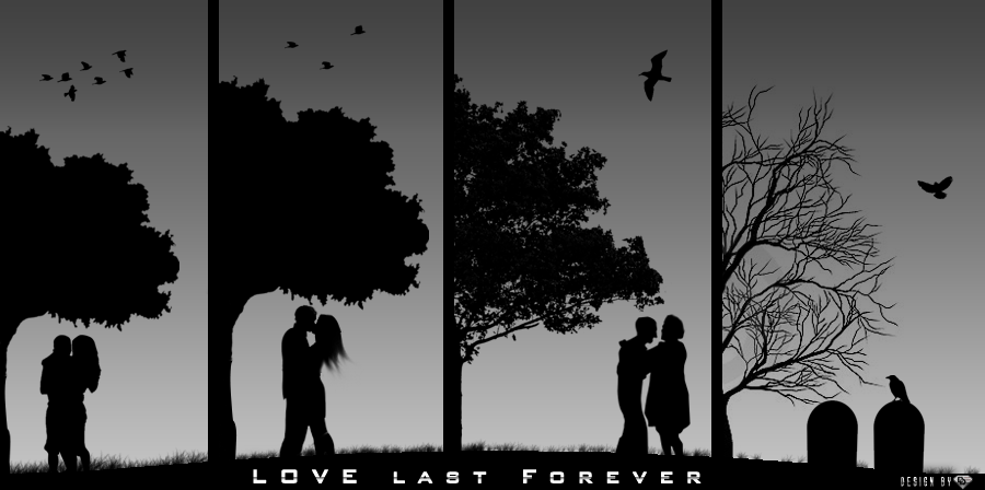 the truth about forever pdf