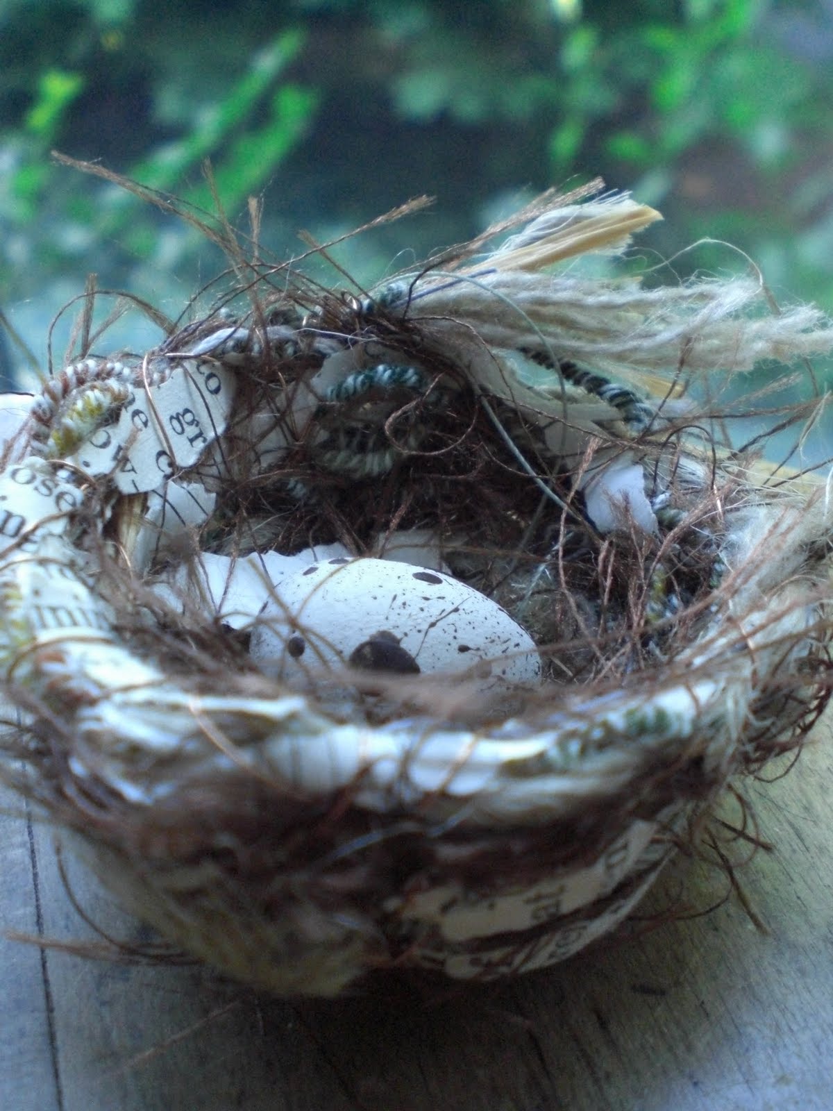 Гнездо мух в доме как выглядит Todolwen: More Nest Creations