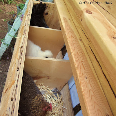 Faux Barn Wood Nest Box Tutorial The Chicken Chick
