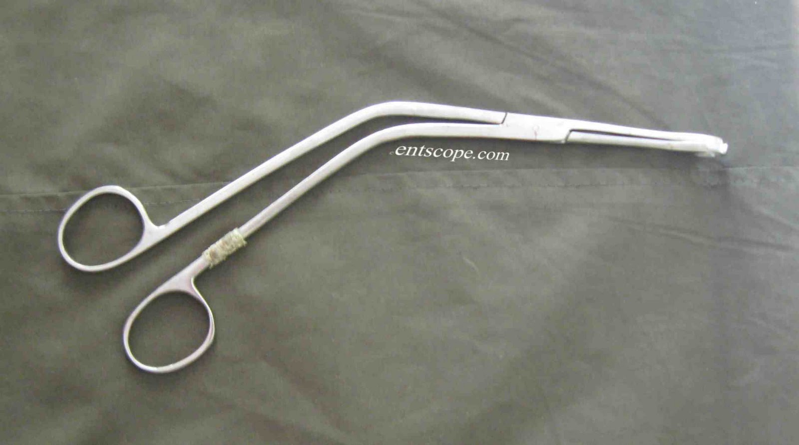 ENT Instruments Denis Browne Tonsil Holding Forceps