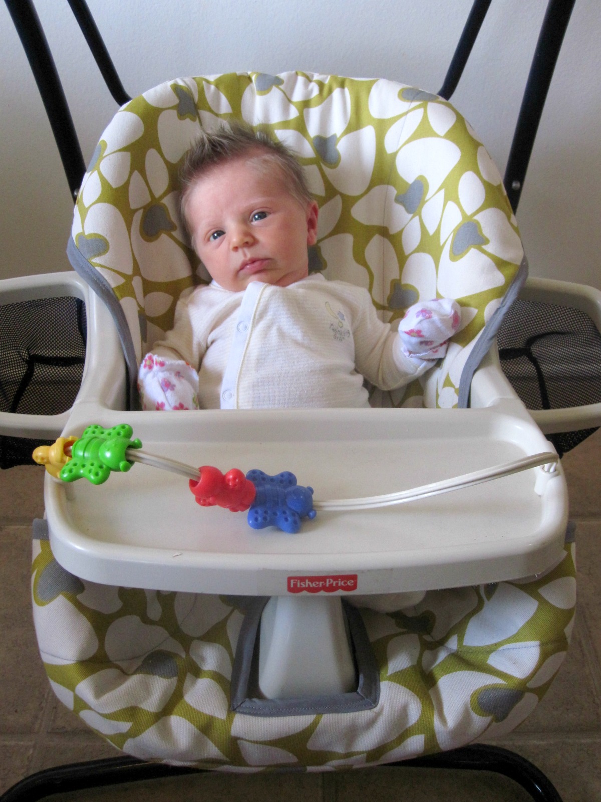 the hawkins family Baby Swing Cover