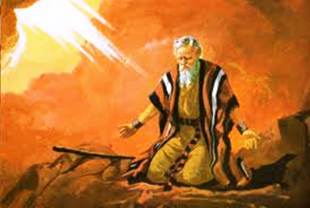 Um resumo do dilúvio e a arca de Noé até os dias de hoje.