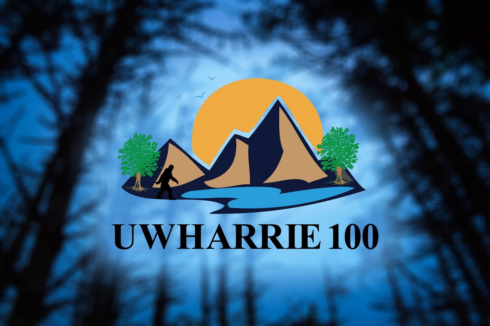 Joel's running journal and random thoughts 2015 Uwharrie 100 mile