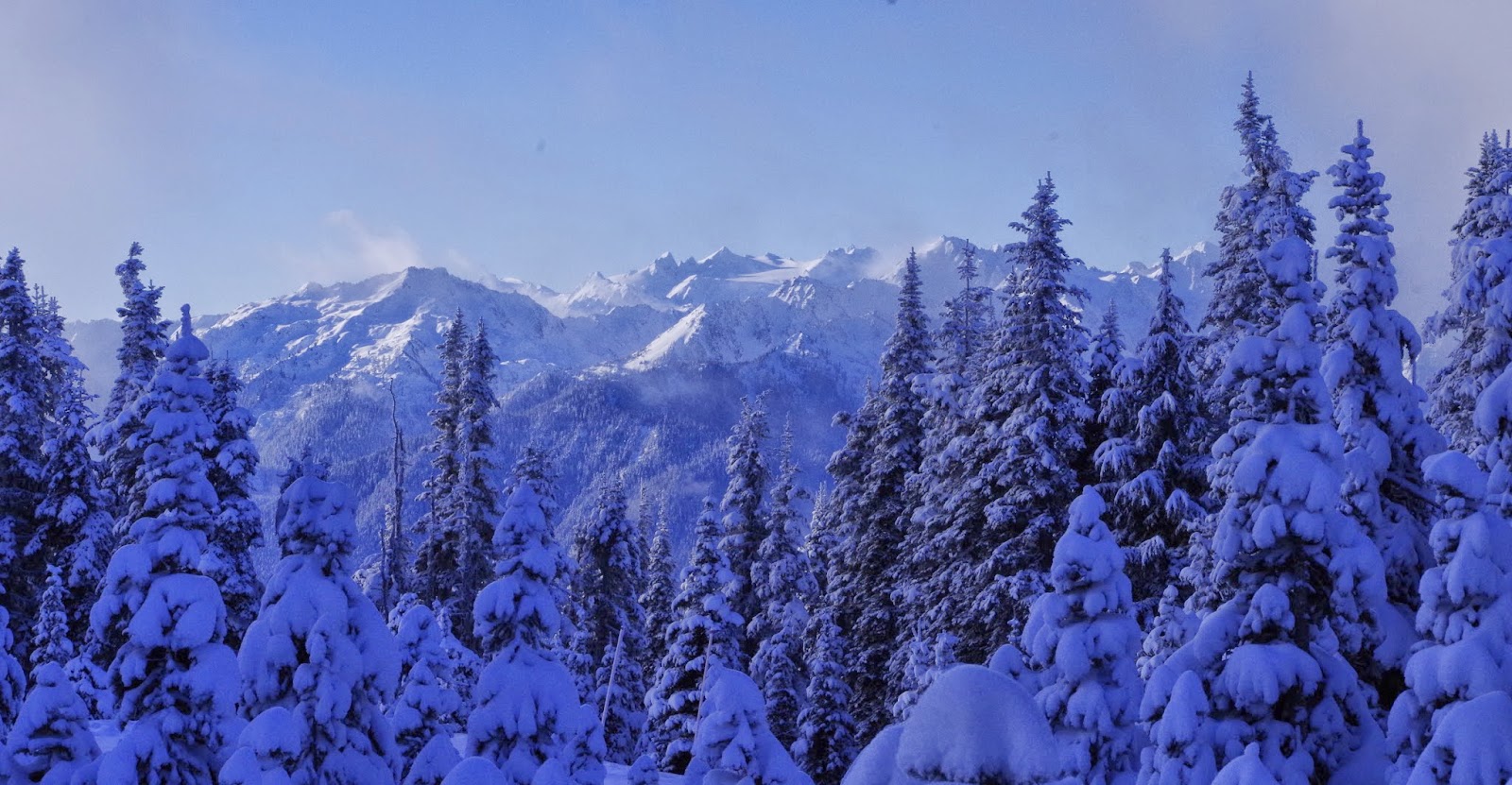 Pacific Northwest Seasons Hurricane Ridge in the Winter