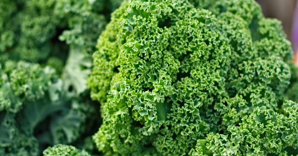 Strong and Beyond: Top 10 Ways to Prepare Kale