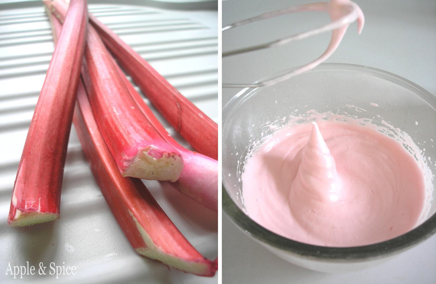 Apple & Spice The Daring Bakers March 2011 Yeasted Rhubarb