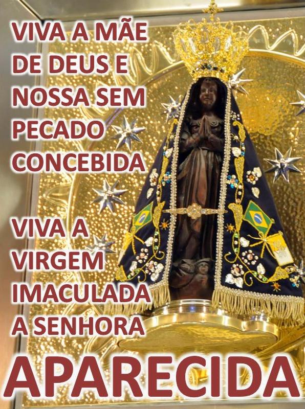 Viva a Mãe de Deus e Nossa sem pecado concebida, viva a Virgem