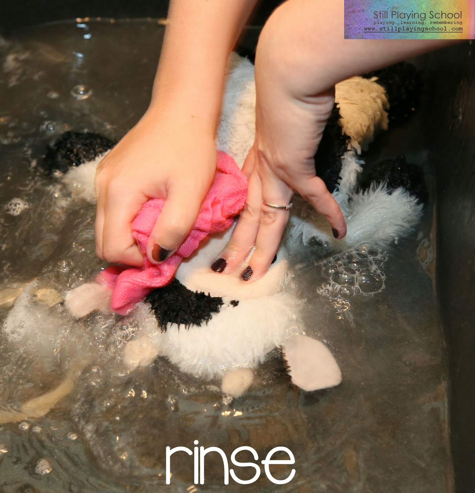 How to Gently Wash a Stuffed Animal Still Playing School