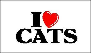 Yes! I am a CAT lover ♥