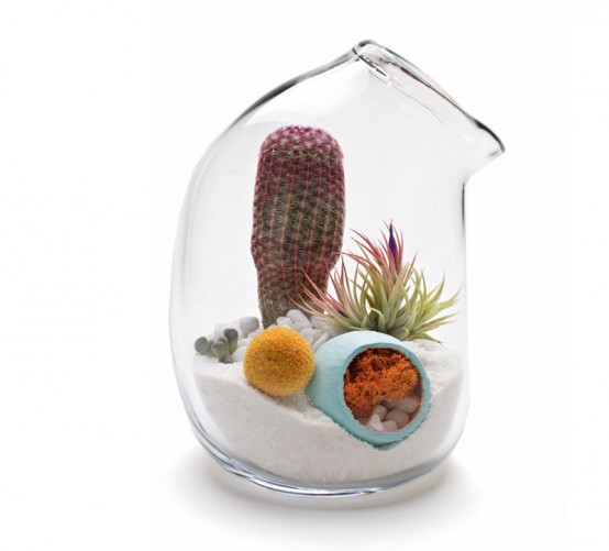 Fresh Decor EyeCatching Small Glass Terrariums From Lítill