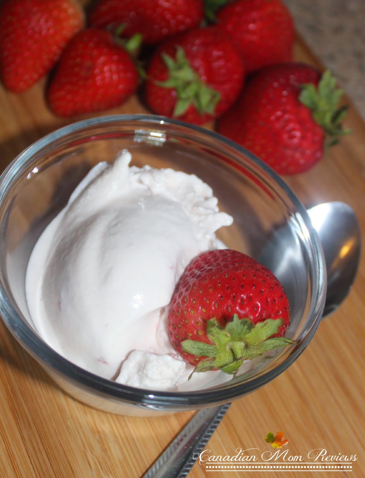 Cuisinart Pure Indulgence Frozen YogurtIce Cream & Sorbet Maker Review